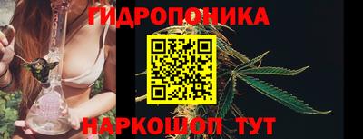 спайс Коммунар