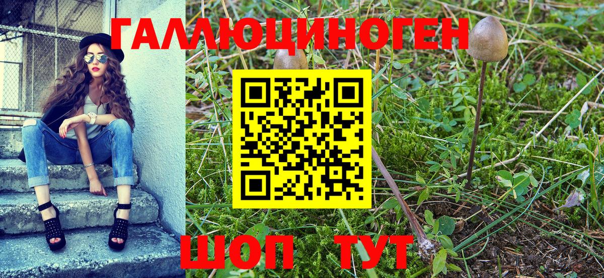 Псилоцибиновые грибы прущие грибы  Вход с VPN  Янаул  Галлюциногенные грибы Magic Shrooms 